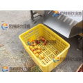 Auotmatic Orange Pomegranate Fruit and Vegetable Sorting Grading Machine